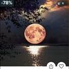 tipsygypsy007